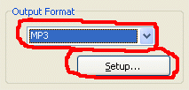 Select the format for the converted file