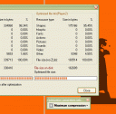 Screenshot of Flash Optimizer (Lite Edition) 1.16